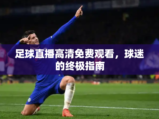 足球直播高清免费观看，球迷的终极指南
