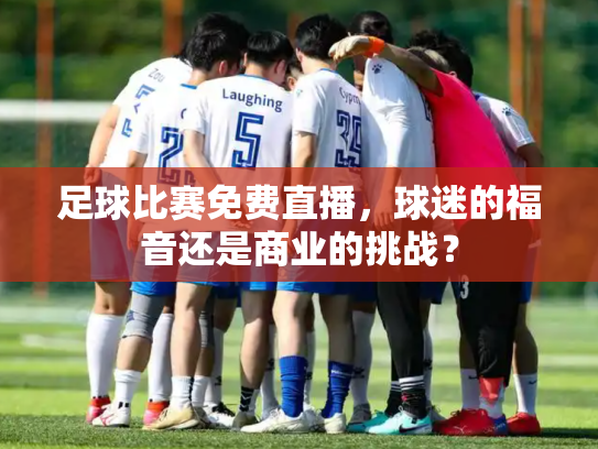足球比赛免费直播，球迷的福音还是商业的挑战？