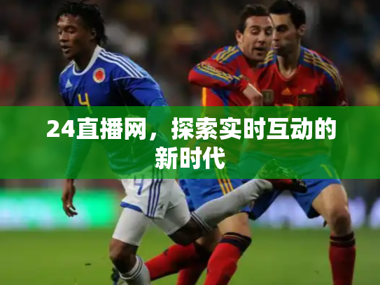 24直播网，探索实时互动的新时代