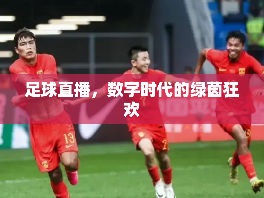 足球直播，数字时代的绿茵狂欢