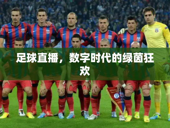 足球直播，数字时代的绿茵狂欢