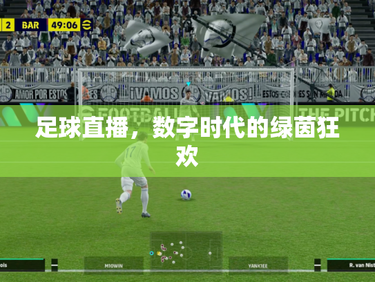 足球直播，数字时代的绿茵狂欢