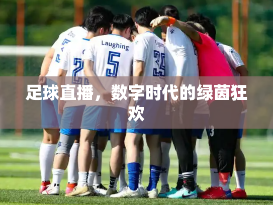 足球直播，数字时代的绿茵狂欢