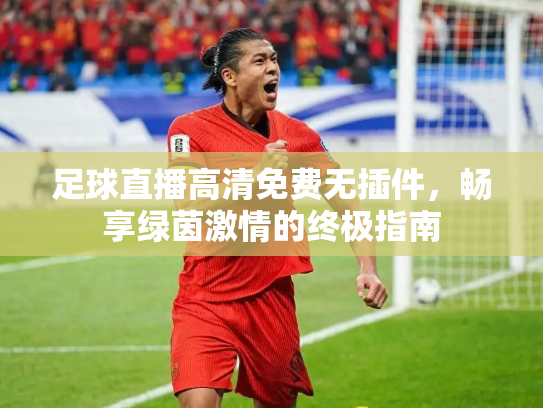 足球直播高清免费无插件，畅享绿茵激情的终极指南