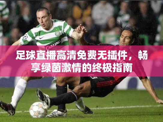 足球直播高清免费无插件，畅享绿茵激情的终极指南