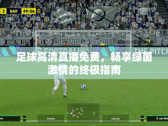 足球高清直播免费，畅享绿茵激情的终极指南