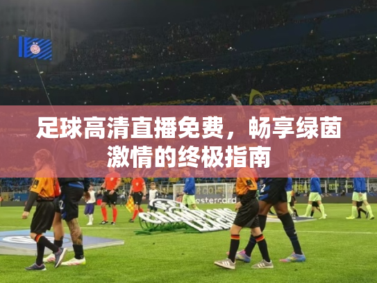 足球高清直播免费，畅享绿茵激情的终极指南