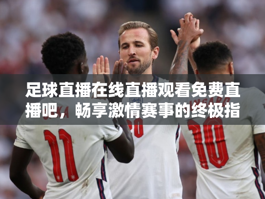 足球直播在线直播观看免费直播吧，畅享激情赛事的终极指南
