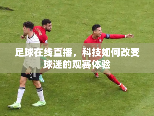 足球在线直播，科技如何改变球迷的观赛体验