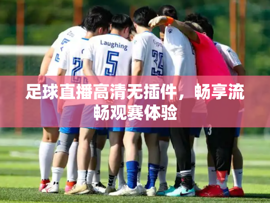 足球直播高清无插件，畅享流畅观赛体验