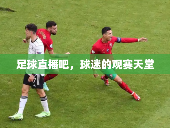 足球直播吧，球迷的观赛天堂