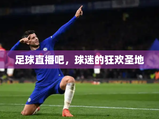 足球直播吧，球迷的狂欢圣地