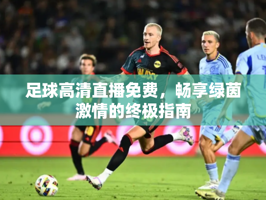 足球高清直播免费，畅享绿茵激情的终极指南