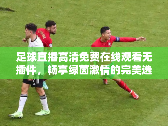 足球直播高清免费在线观看无插件，畅享绿茵激情的完美选择