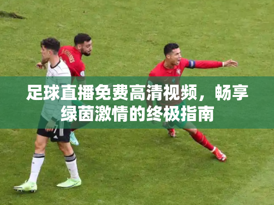 足球直播免费高清视频，畅享绿茵激情的终极指南