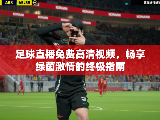 足球直播免费高清视频，畅享绿茵激情的终极指南