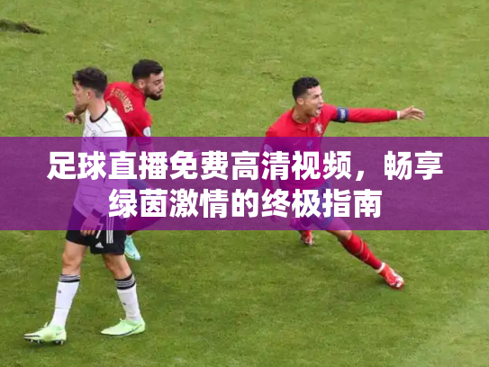 足球直播免费高清视频，畅享绿茵激情的终极指南