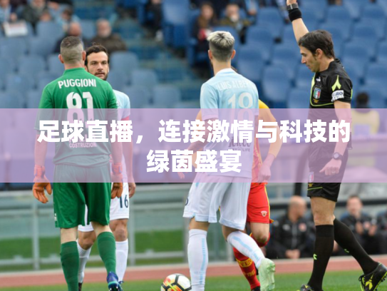 足球直播，连接激情与科技的绿茵盛宴