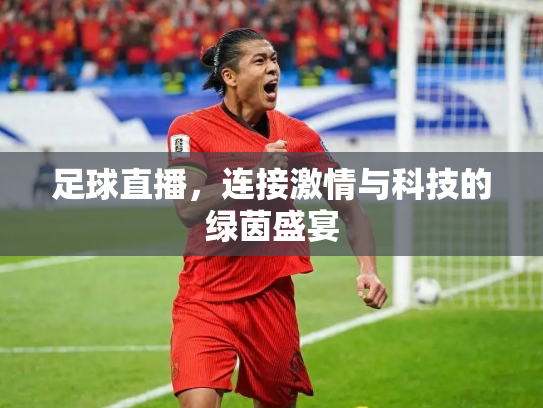 足球直播，连接激情与科技的绿茵盛宴