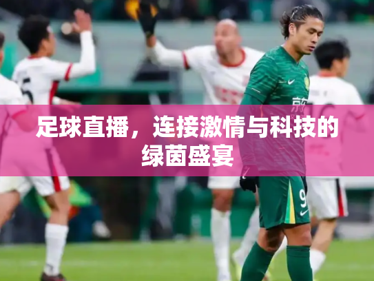 足球直播，连接激情与科技的绿茵盛宴