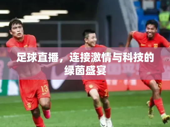 足球直播，连接激情与科技的绿茵盛宴