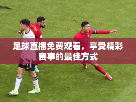 足球直播免费观看，享受精彩赛事的最佳方式