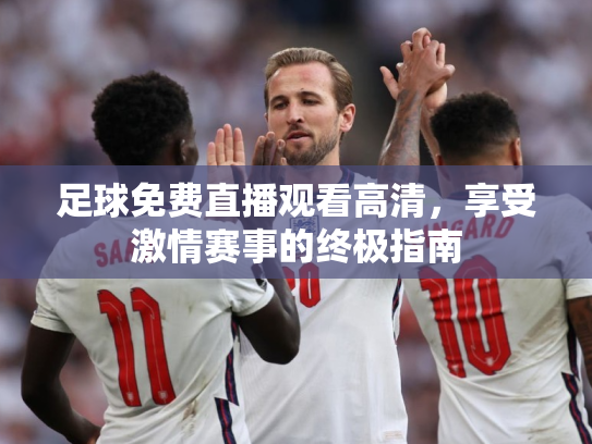 足球免费直播观看高清，享受激情赛事的终极指南