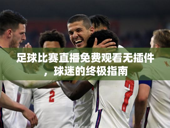 足球比赛直播免费观看无插件，球迷的终极指南