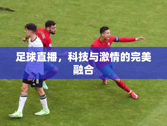 足球直播，科技与激情的完美融合