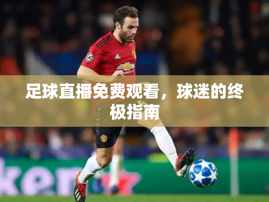 足球直播免费观看，球迷的终极指南