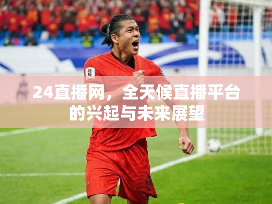 24直播网，全天候直播平台的兴起与未来展望