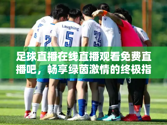 足球直播在线直播观看免费直播吧，畅享绿茵激情的终极指南