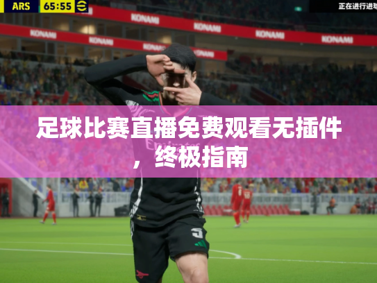 足球比赛直播免费观看无插件，终极指南