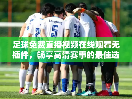 足球免费直播视频在线观看无插件，畅享高清赛事的最佳选择