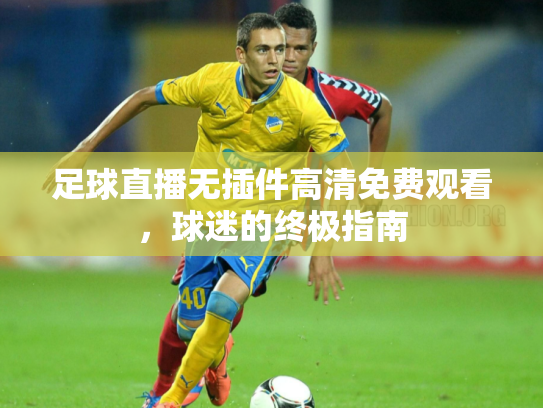 足球直播无插件高清免费观看，球迷的终极指南