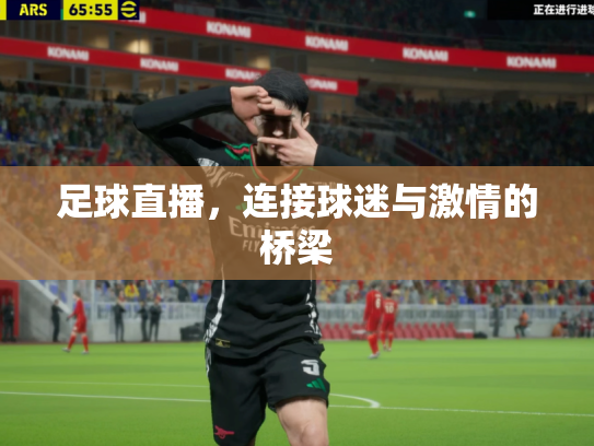 足球直播，连接球迷与激情的桥梁
