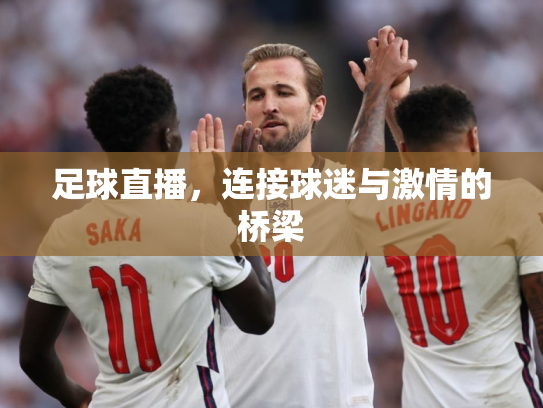 足球直播，连接球迷与激情的桥梁