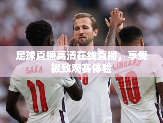 足球直播高清在线直播，享受极致观赛体验