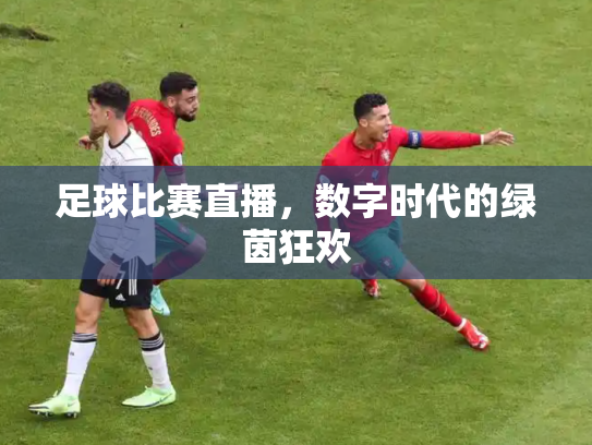 足球比赛直播，数字时代的绿茵狂欢