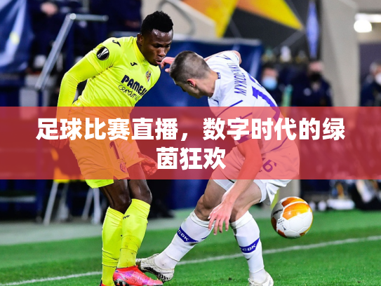 足球比赛直播，数字时代的绿茵狂欢