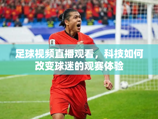 足球视频直播观看，科技如何改变球迷的观赛体验