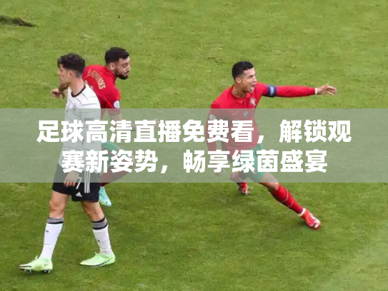 足球高清直播免费看，解锁观赛新姿势，畅享绿茵盛宴