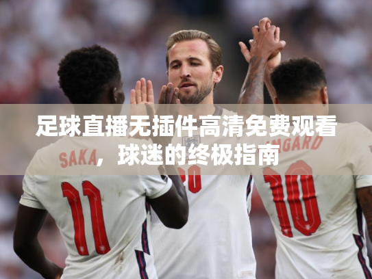 足球直播无插件高清免费观看，球迷的终极指南