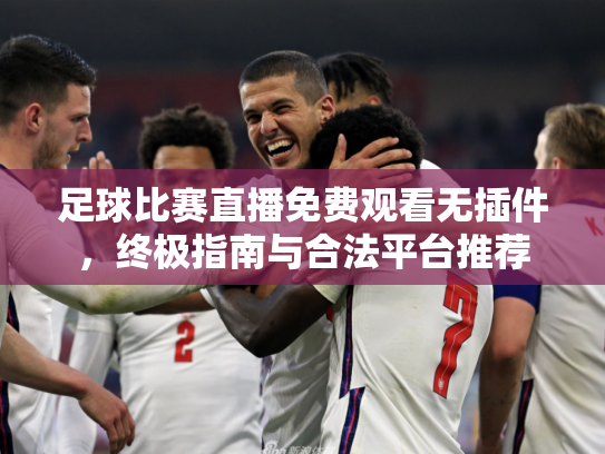 足球比赛直播免费观看无插件，终极指南与合法平台推荐
