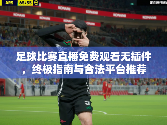 足球比赛直播免费观看无插件，终极指南与合法平台推荐
