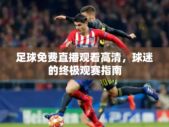 足球免费直播观看高清，球迷的终极观赛指南