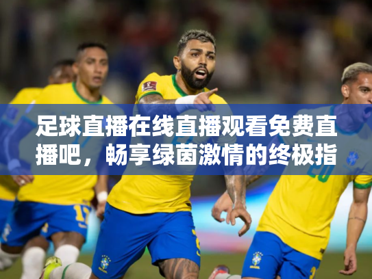 足球直播在线直播观看免费直播吧，畅享绿茵激情的终极指南