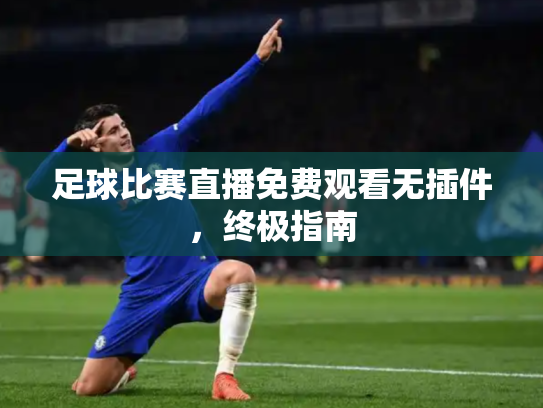 足球比赛直播免费观看无插件，终极指南