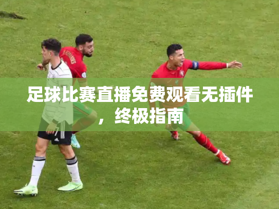 足球比赛直播免费观看无插件，终极指南
