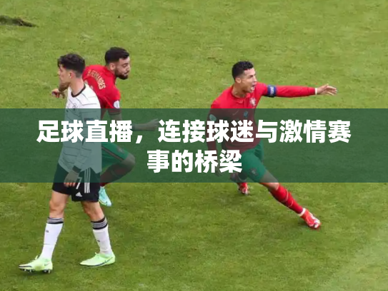 足球直播，连接球迷与激情赛事的桥梁